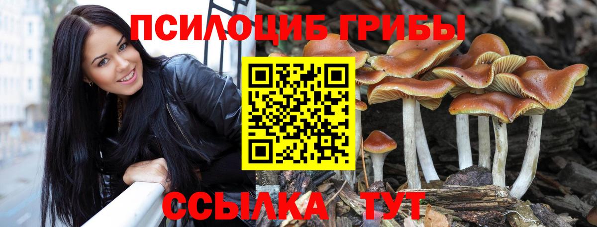 Псилоцибиновые грибы MAGIC MUSHROOMS  Вход с VPN  Нерюнгри  цены   Галлюциногенные грибы прущие грибы 