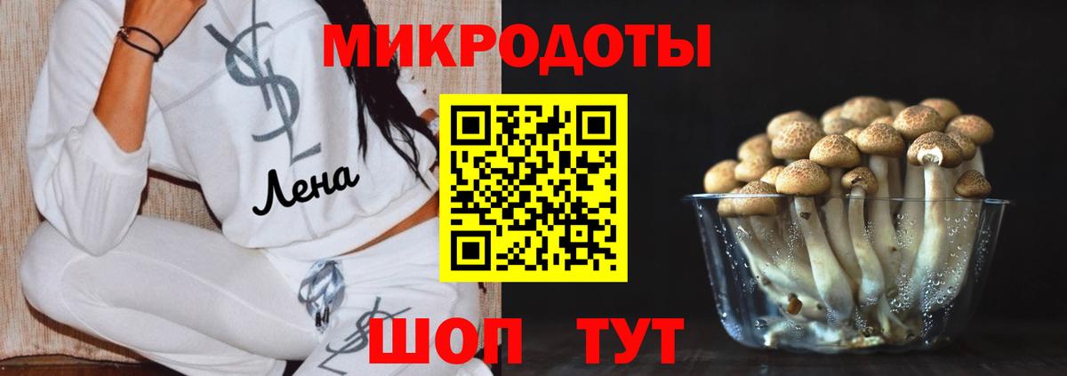 Псилоцибиновые грибы Magic Shrooms Нерюнгри